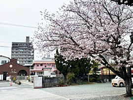 �����s������